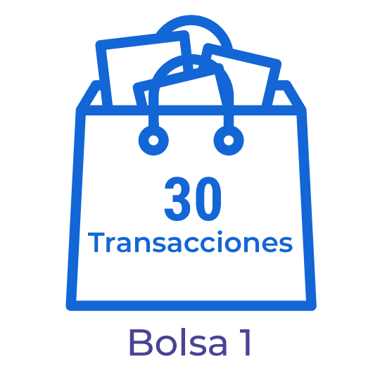 BA01. Bolsa con 30 transacciones para el procesamiento de documentos electrónicos.